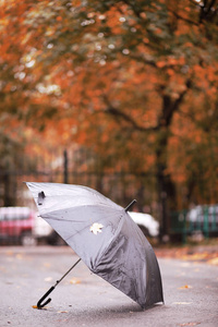 十月秋雨公园图片