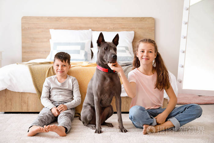 家里养着可爱的狗的小孩子