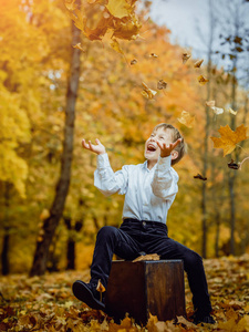 秋天公园里的男孩在秋天欢庆图片