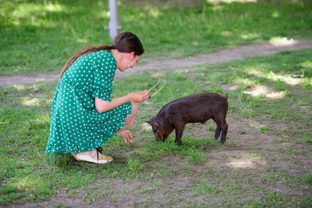动物的天性和平图片