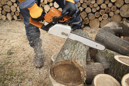 电锯在锯木头.用锯子,灰尘砍木头的人照片