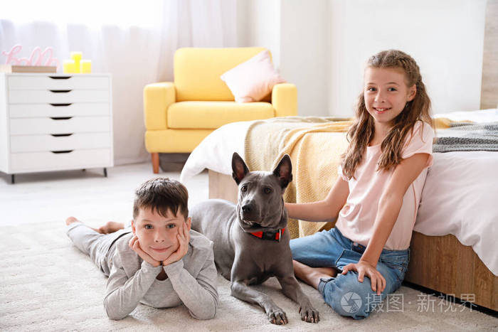 家里养着可爱的狗的小孩子