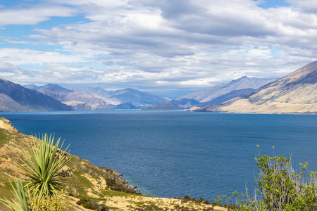 新西兰南岛瓦纳卡湖风景图片