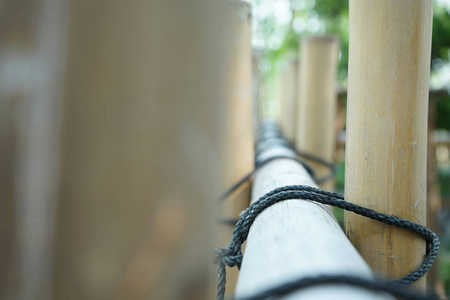 公园里的篱笆是竹子做的,用绳子绑着.照片