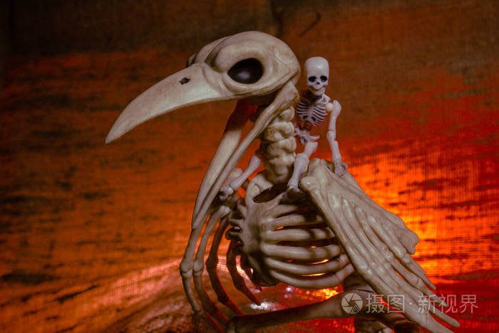 乌鸦骨架和人类小骨架棕色织物背景万圣节装饰概念