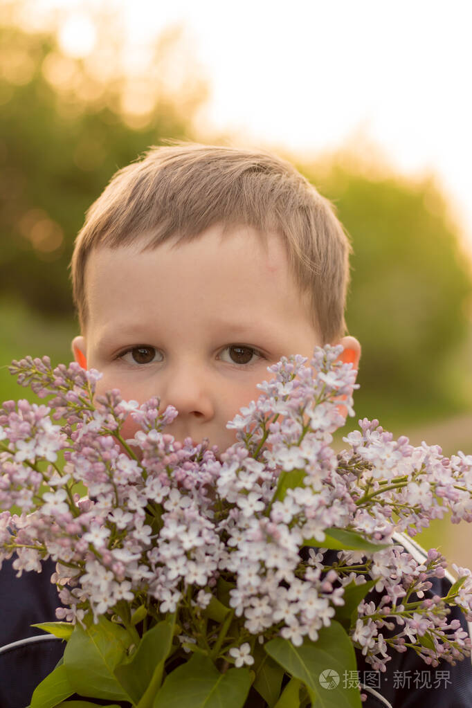 一个长着丁香花的男孩的画像.孩子们手中的紫丁香花.