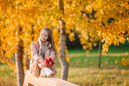 秋天黄叶束可爱小女孩画像图片