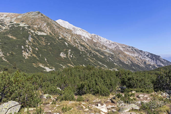 保加利亚皮林山维伦峰景观