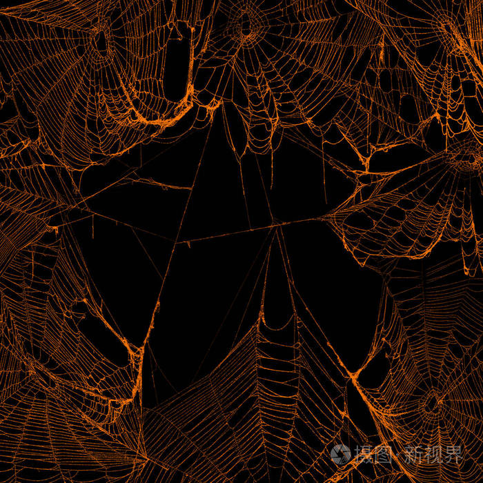 真正可怕的蜘蛛网挂在一起形成一个框架圣洁