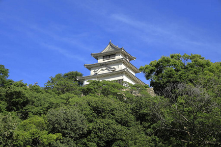 日本加川丸贺古堡的城堡图片