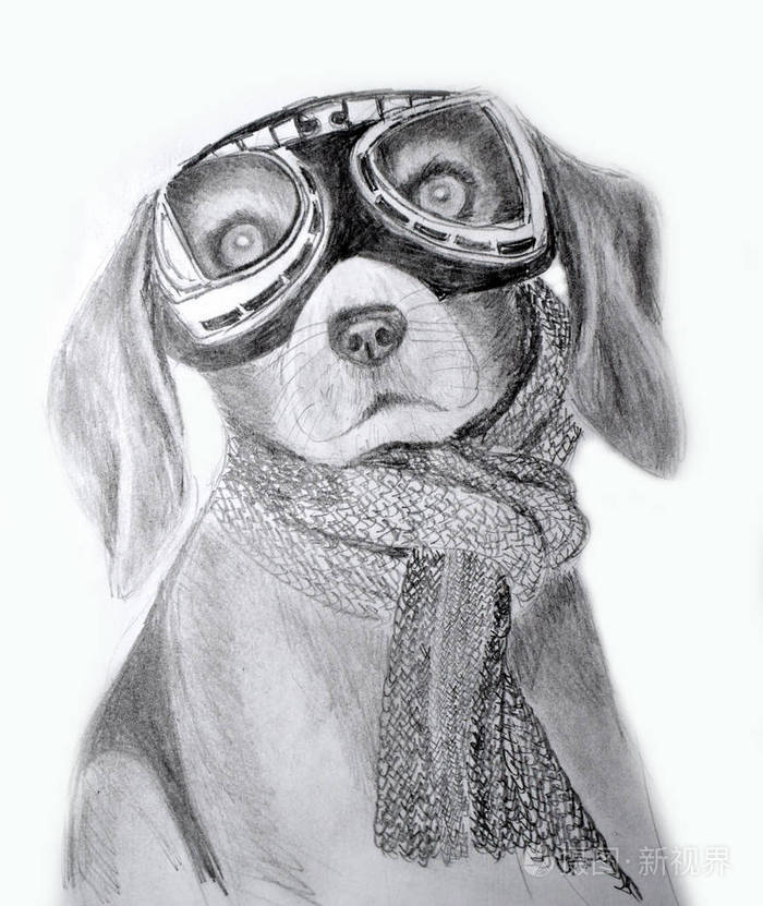 黑白铅笔画小狗戴眼镜的狗画纸