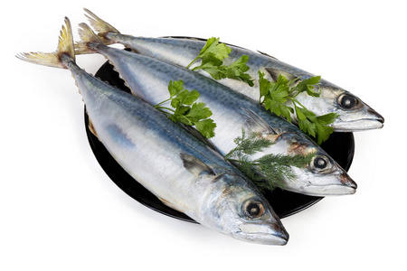 黑盘未冻鲭鱼俯视图