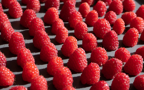 新鲜水果.平铺,俯视,方形.照片