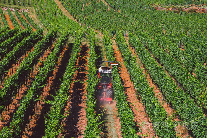 有机葡萄酒生产,西欧现代农业