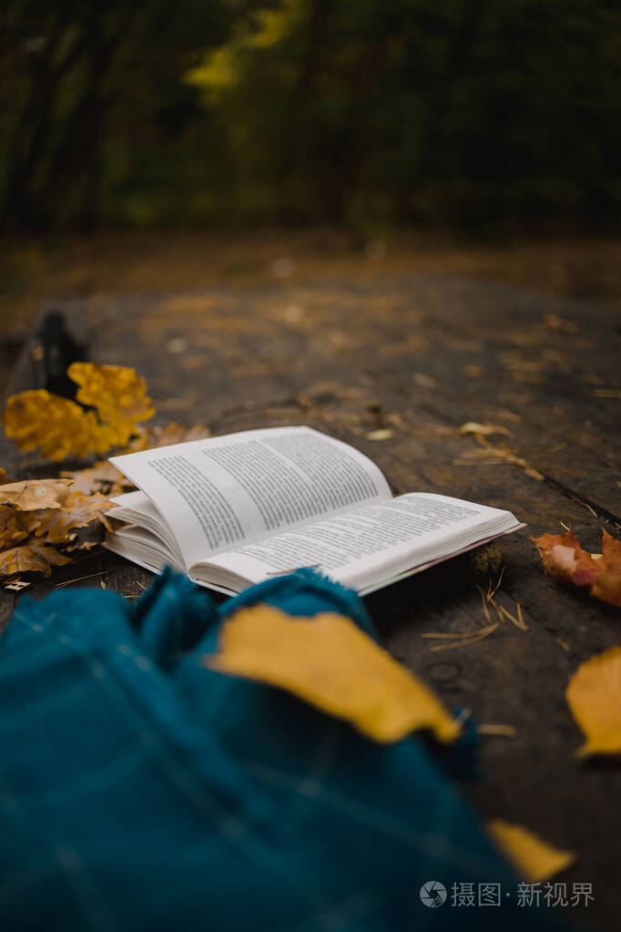 秋天公园的一张旧木桌上放着一本打开的书,一块蓝色格子,一个带灯的