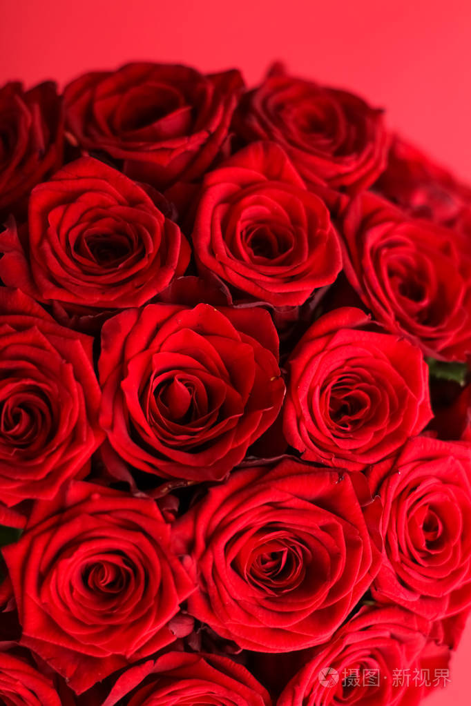美丽奢华的红玫瑰花束鲜花盛开