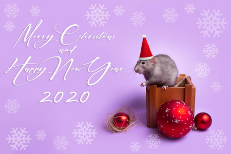 装饰性的老鼠小飞象,戴着圣诞老人帽,背景是淡紫色的木盒.