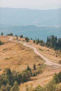 山间小路秋景图片