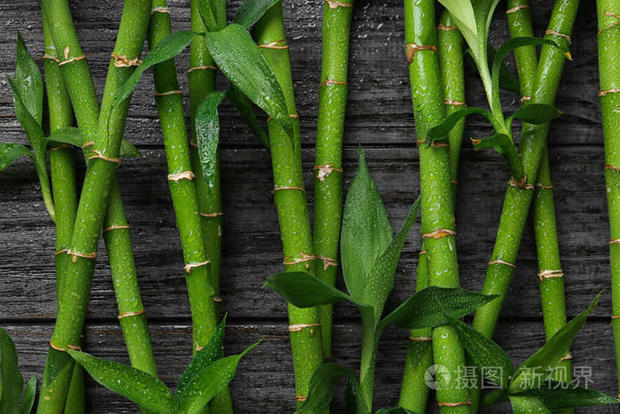 黑色木质背景上的绿色竹茎俯视图