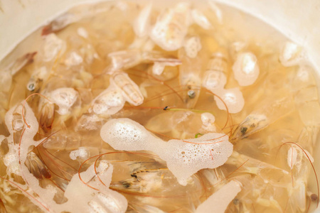 水中红虾壳特写照片