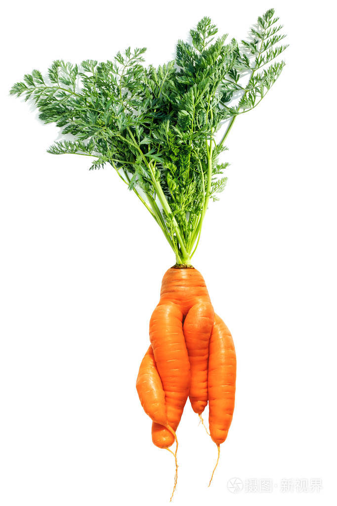 白色背景上形状奇特的新鲜大红色胡萝卜