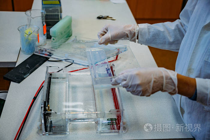 将样品装入琼脂糖凝胶中分离dna片段进行电泳凝胶电泳生化实验室设备