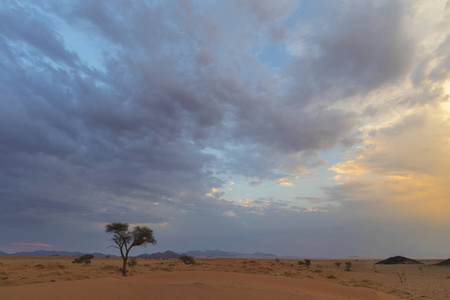 沙漠中午后阳光下的云图片