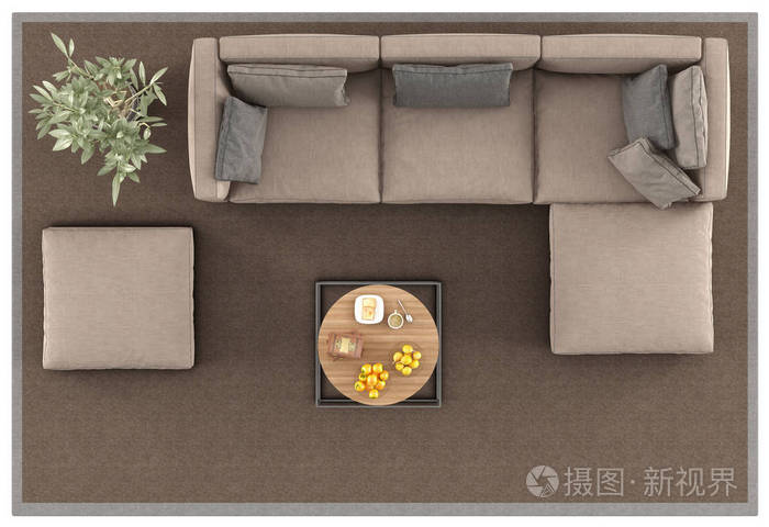 地毯上现代沙发的俯视图