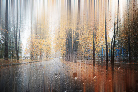 背景公园里的秋雨图片