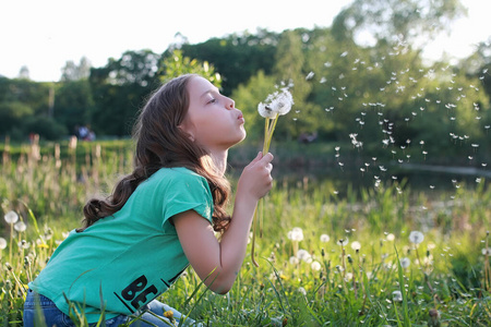 吹蒲公英的花粉图片