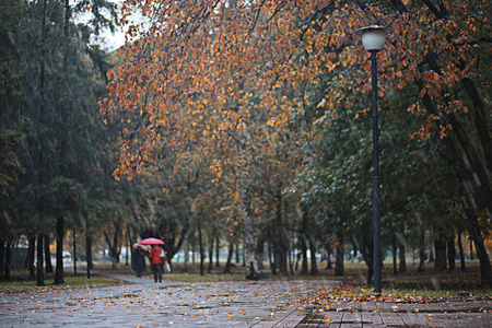 公园里的秋雨图片