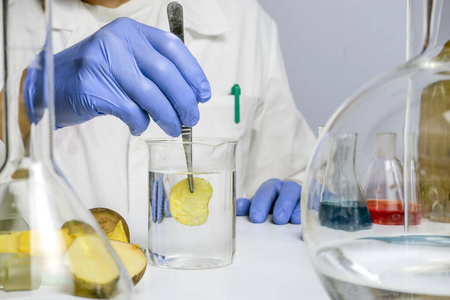 市场助理食品安全实验室程序,分析市场上的薯片.工作场所实验室助理.