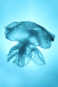 保护海洋生物海洋和海洋生物.水母形状的塑料袋.地球的污染.照片