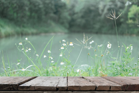 池塘湖边的白色草花图片