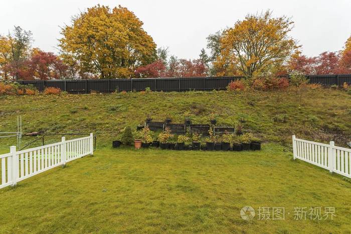 健康 文化 植物学 草莓 秋天 落下 花园 建筑学 机场