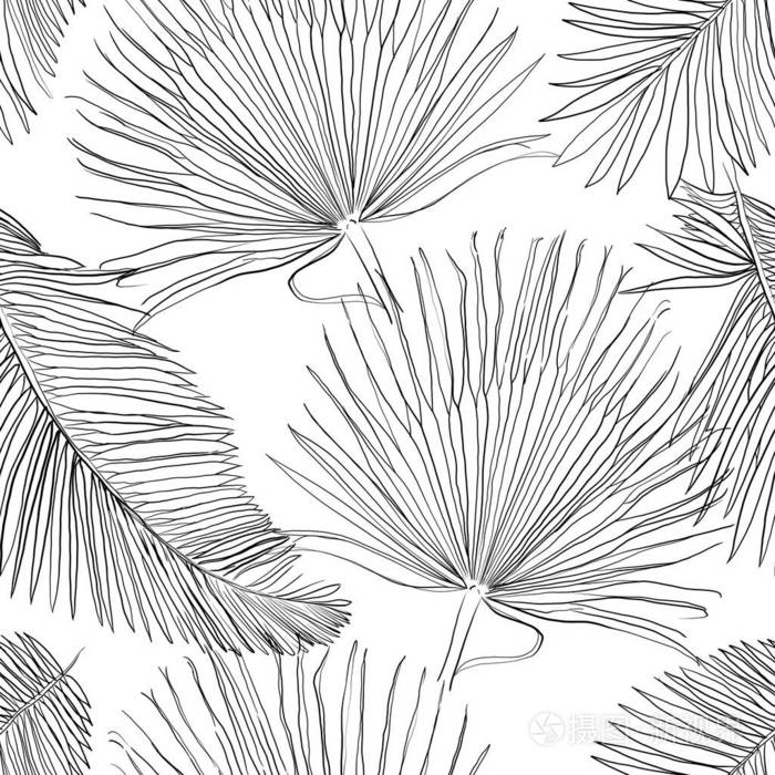 棕榈树叶简笔画图片图片