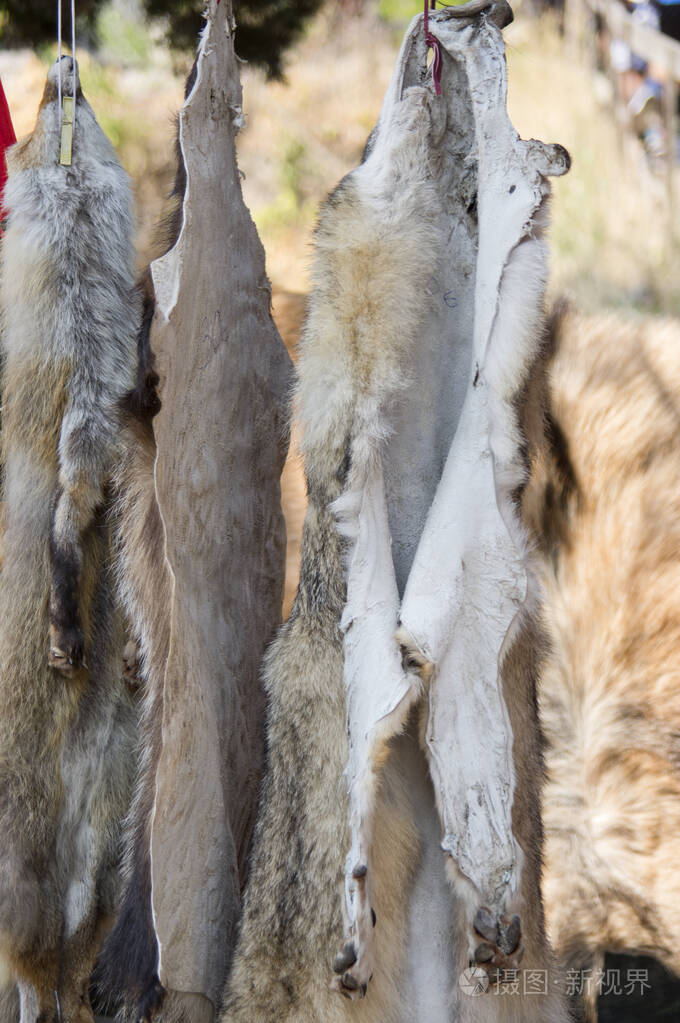 北马其顿街市场的狼皮