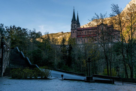 欧罗巴岛上的奶牛埃尔西纳湖农场奶牛农场奶牛农场奶牛阿斯图里亚斯的