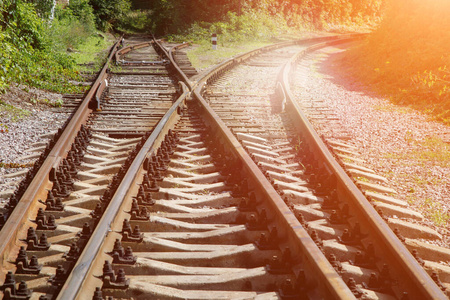 铁路轨道上的分叉.生锈的铁轨和腐烂的木枕上长满了绿色的野葡萄.