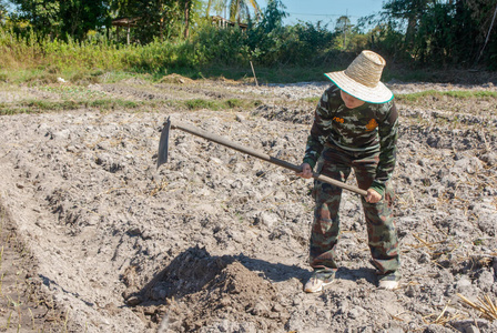 拿着锄头的园丁女人.做菜园做甜食照片