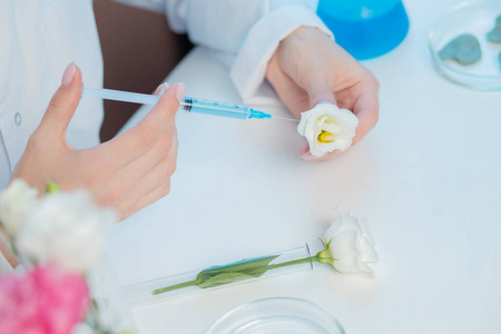 科学家从鲜花中提取精油注射器测试天然化妆品提取物的香气.