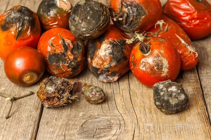 发霉的西红柿蔬菜的储藏不健康的食物蔬菜上有霉菌变质的食物