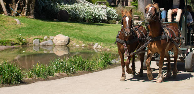 智利圣丽塔酒庄浪漫的马车之旅图片
