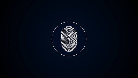 跳动的圆圈表示要解锁或授予访问权限的指纹照片