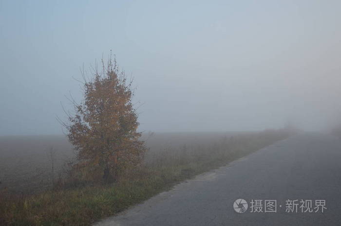 森林和村庄的晨雾