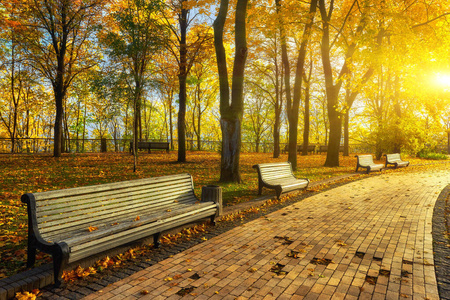 秋天的胡同里有长凳的公园图片