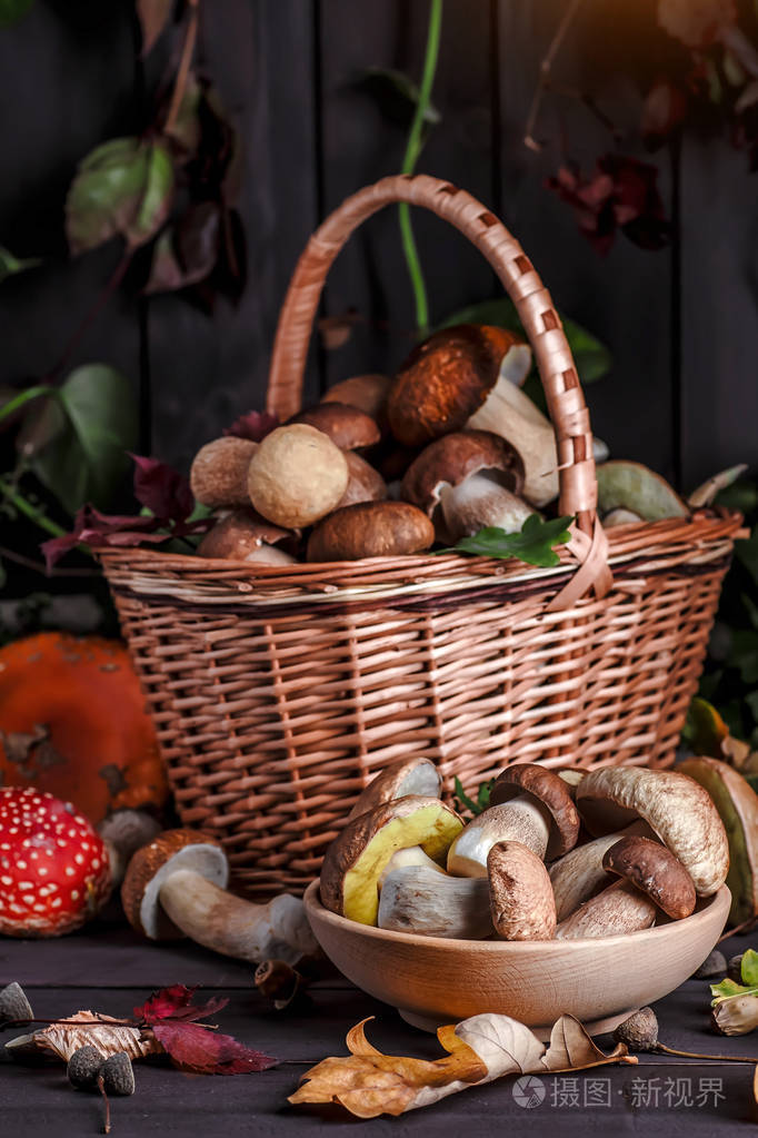 秋天的蘑菇背上有香菇的篮子