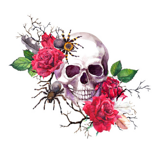 红玫瑰,蜘蛛,树枝上的骷髅.万圣节水彩画,哥特式纹身照片