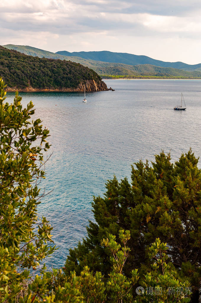 在托斯卡纳格罗塞托省的绿色森林环绕的tyrrhenian海湾的卡拉维奥利纳