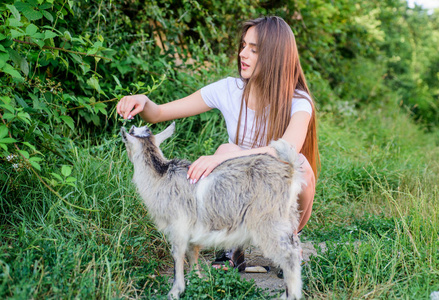 快乐女孩爱山羊.乡村周末.夏日.爱护动物.联系动物园.兽医羔羊羊.